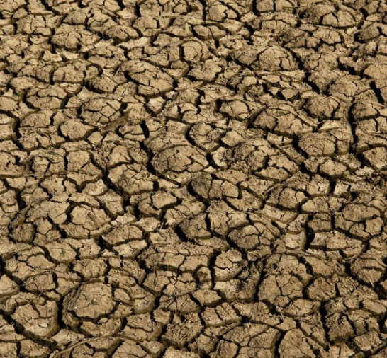 Risco de desertificação no Brasil ameaça segurança hídrica e alimentar
