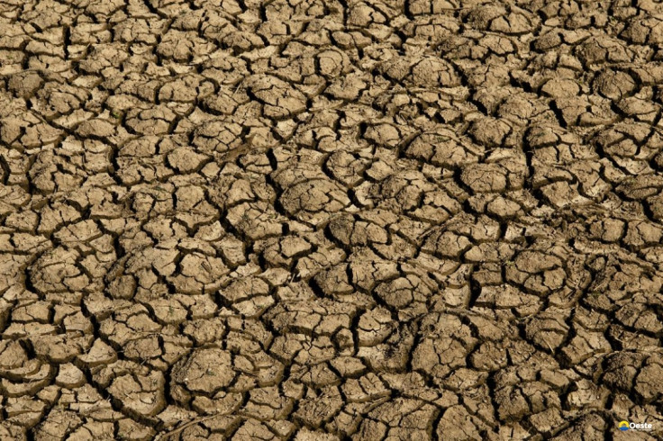 Risco de desertificação no Brasil ameaça segurança hídrica e alimentar