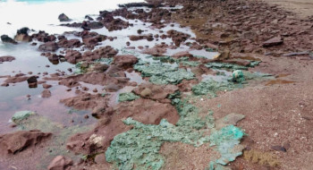 Rochas de plástico chegam a ninhos de tartarugas em ilha brasileira