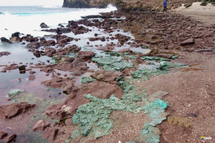 Rochas de plástico chegam a ninhos de tartarugas em ilha brasileira