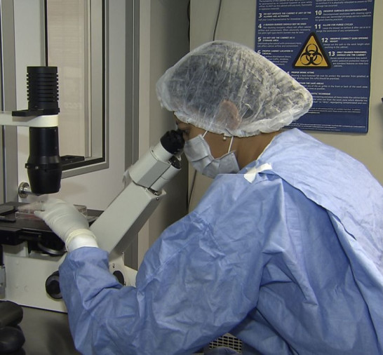 Saiba como cientistas