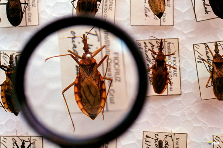 Saúde anuncia R$ 12 milhões para enfrentamento da doença de Chagas