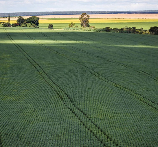 Senado aprova plano para fabricação de fertilizantes no Brasil