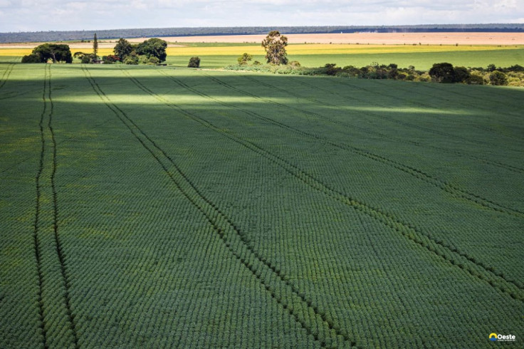 Senado aprova plano para fabricação de fertilizantes no Brasil