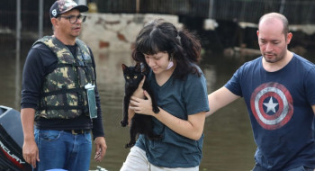 Senado aprova política de proteção a animais resgatados em desastres