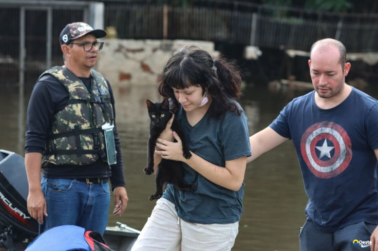 Senado aprova política de proteção a animais resgatados em desastres