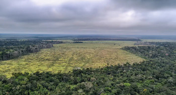 Sociedade civil vê retrocesso grave em queda de vetos de PL Ambiental