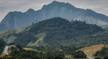 SOS Mata Atlântica mobiliza setor privado para conservação do bioma