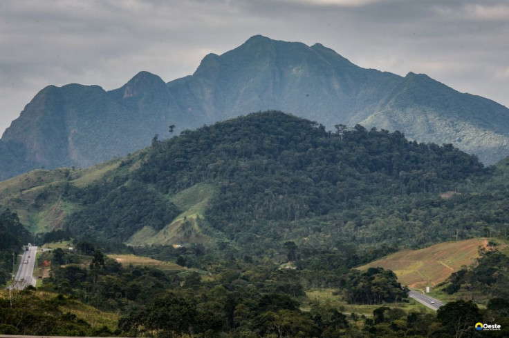 SOS Mata Atlântica mobiliza setor privado para conservação do bioma