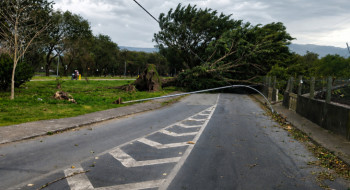 SP: ventania pode atingir 50 km/h no fim de semana
