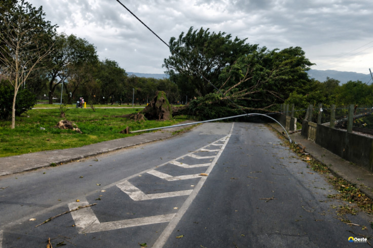 SP: ventania pode atingir 50 km/h no fim de semana