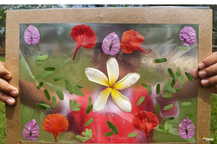 TEDxAmazônia 2026 será realizado pela 1ª vez fora do Brasil