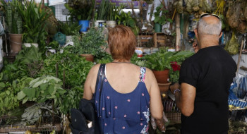 Tradição e fé impulsionam busca por banhos e ervas no fim de ano