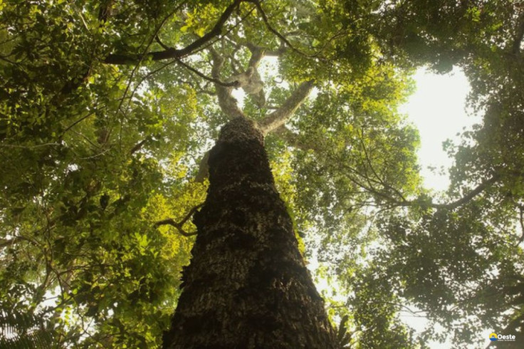 TV Brasil estreia nova temporada de 