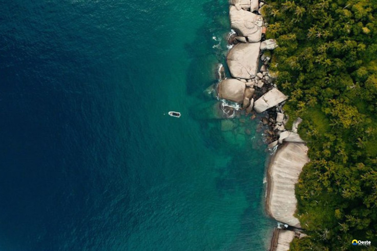 TV Brasil exibe documentário com iniciativas de preservação da costa