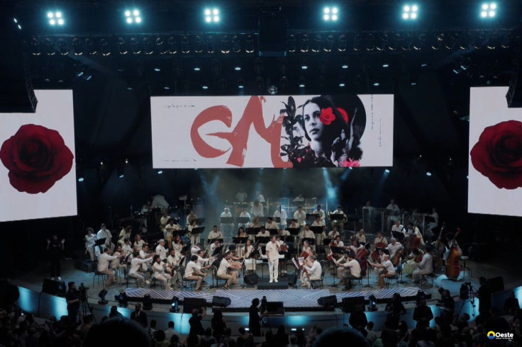 TV Brasil exibe show em homenagem a Gal Costa neste sábado