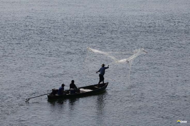 Universidade do Mar se torna realidade no Rio de Janeiro