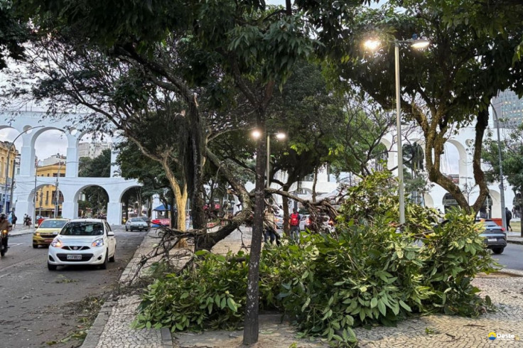 Ventania: moradores do Rio acordam sob alerta; saiba o que fazer